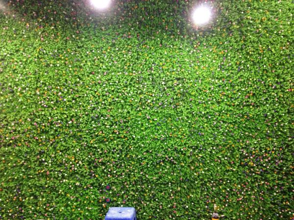 tường cỏ chuột 2 600x450 - Bảng Giá Thảm Cỏ Nhân Tạo Lót Sàn| Cỏ Sân Vườn Giá Sỉ Lẻ Từ Nhà Máy