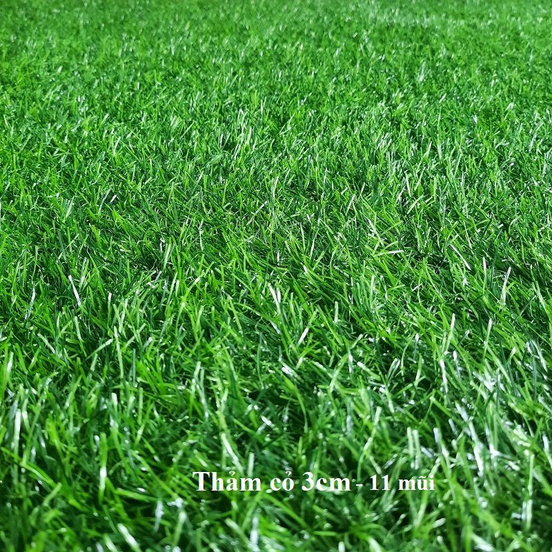 Thảm cỏ nhân tạo cao 3 phân