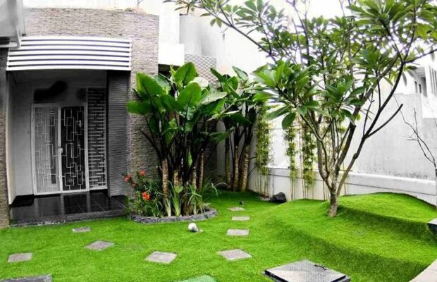 cỏ nhân tạo sân vườn