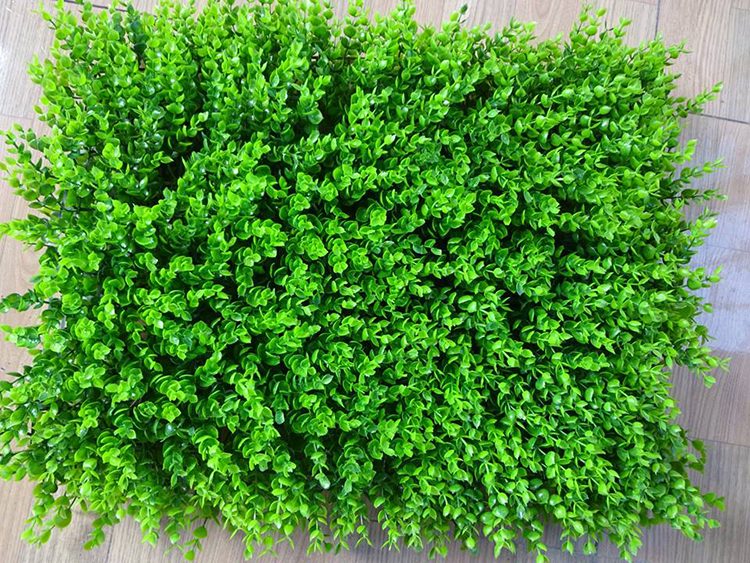 cỏ nhựa trang trí tường