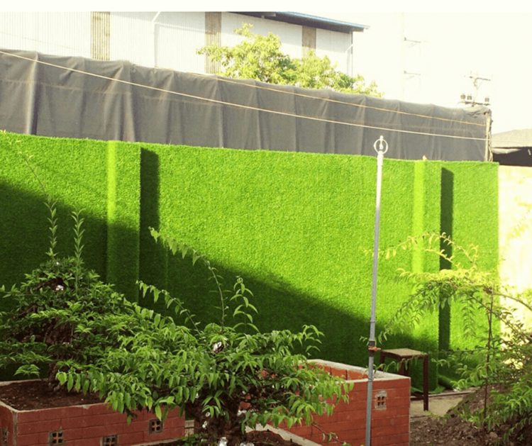 cỏ nhựa trang trí tường