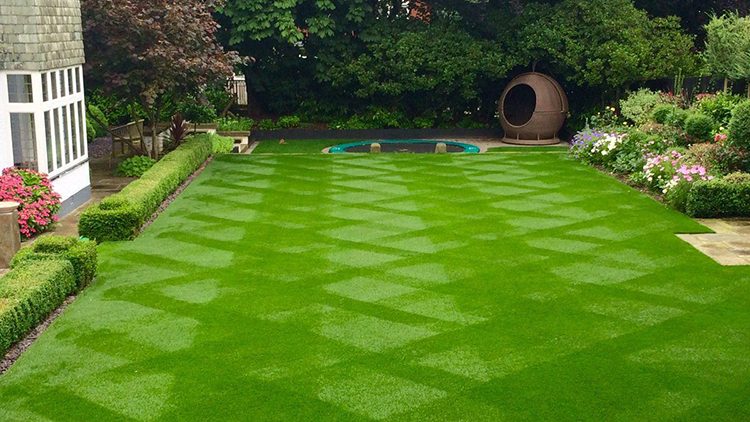 Thảm cỏ nhân tạo lót sàn nhà