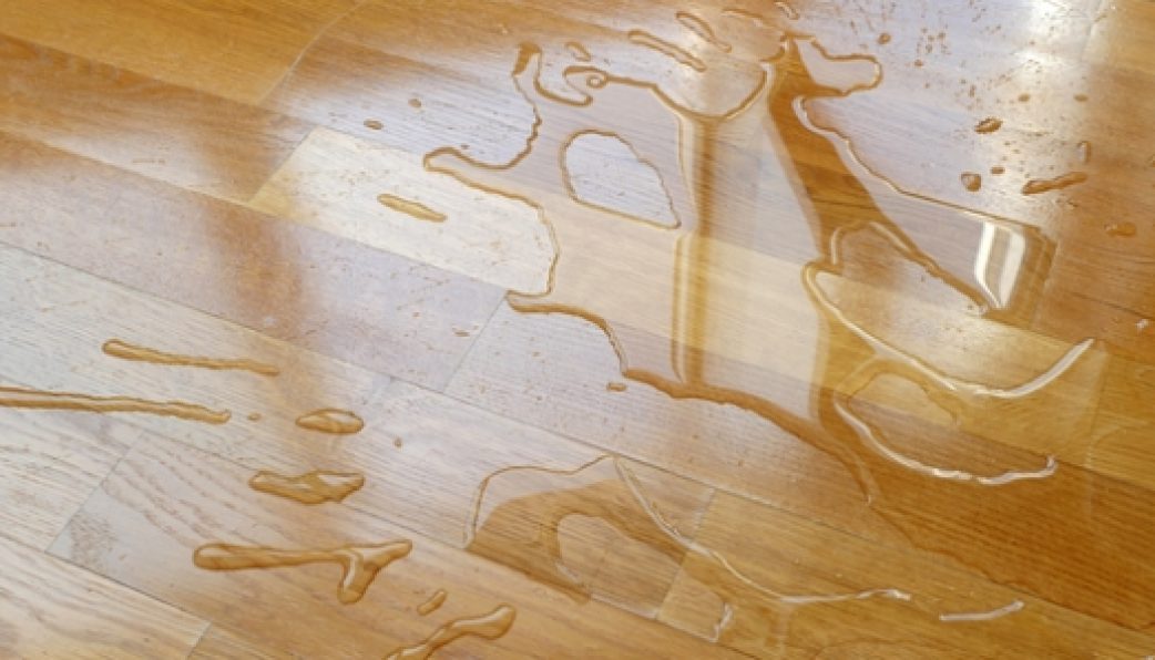 6 cách cải thiện khả năng chịu nước của sàn gỗ