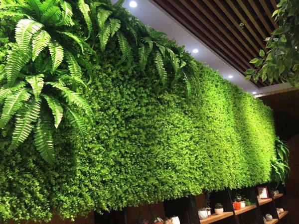 thảm cỏ ốp tường là một thiết kế trang trí nội thất