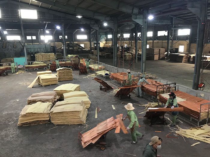 xưởng sản xuất gỗ ván ép